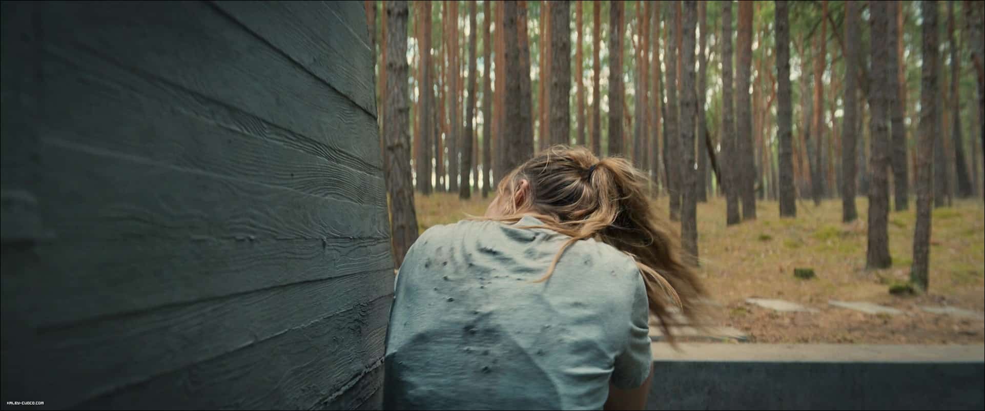 2473.jpg
