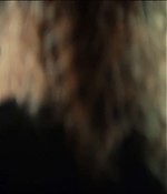2011.jpg