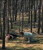 Filename=2494.jpg
Filesize=146KiB
Dimensions=1922x802
Date added=May 05, 2024 2494.jpg