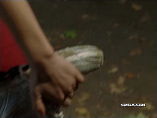 0010.jpg