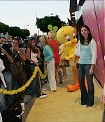 Filename=0014.jpg
Filesize=339KiB
Dimensions=2200x1442
Date added=Mar 19, 2020 0014.jpg