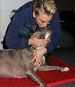 Filename=0029.jpg
Filesize=473KiB
Dimensions=1534x2200
Date added=Feb 01, 2020 0029.jpg