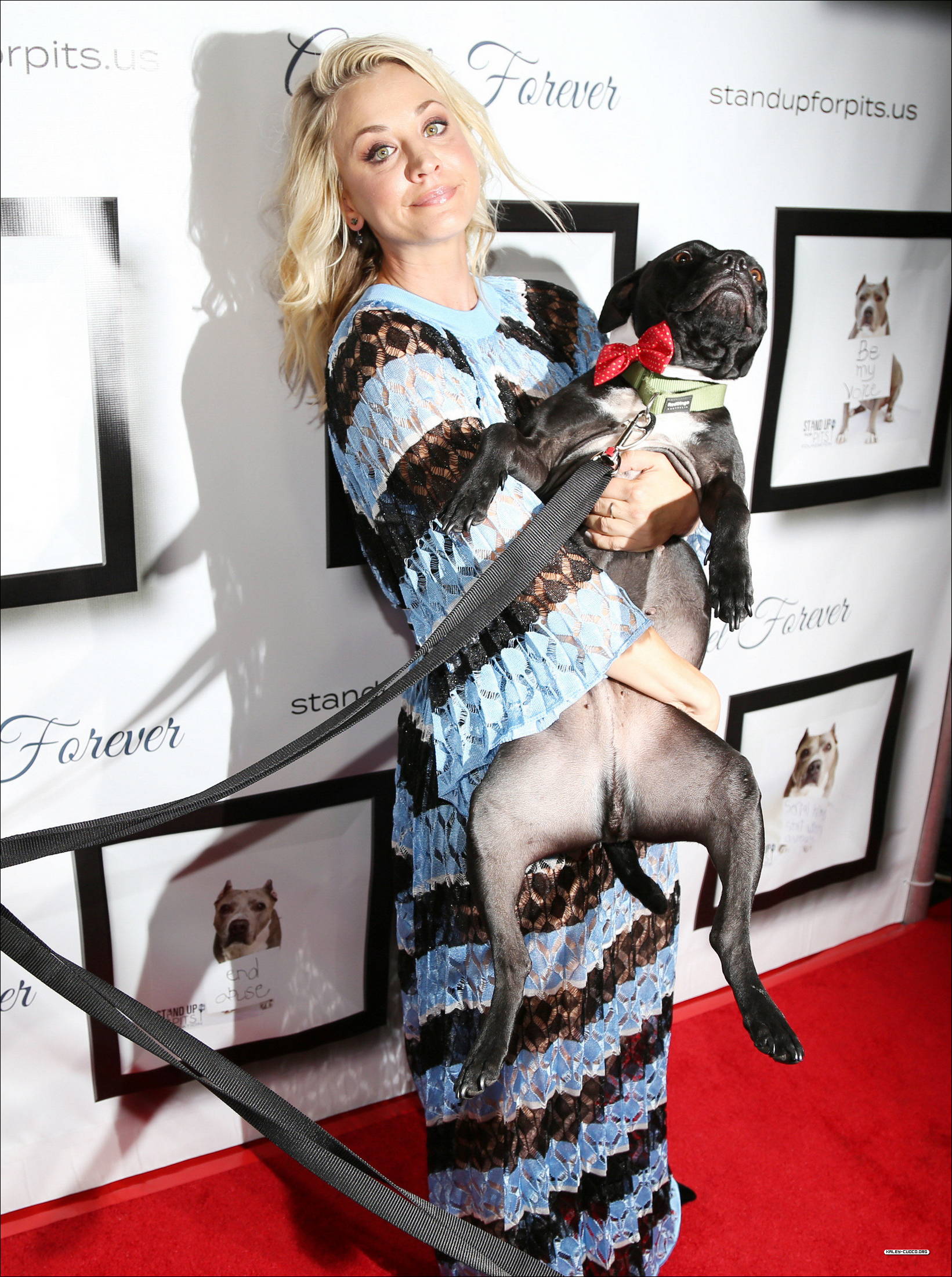 0151.jpg 0151.jpg