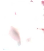 Filename=0006.jpg
Filesize=15KiB
Dimensions=856x362
Date added=Sep 22, 2021 0006.jpg