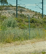 Filename=1018.jpg
Filesize=222KiB
Dimensions=1920x872
Date added=Feb 01, 2026 1018.jpg