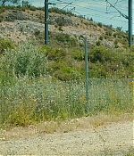 Filename=1020.jpg
Filesize=234KiB
Dimensions=1920x872
Date added=Feb 01, 2026 1020.jpg